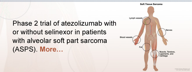 Phase 2 trial of atezolizumab with or without selinexor in patients with alveolar soft part sarcoma (ASPS).  More…